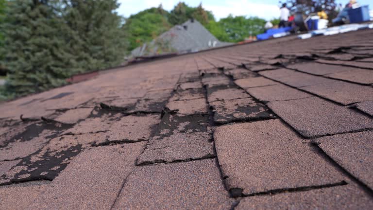 Best Rubber Roofing (EPDM, TPO)  in West Mountain, UT
